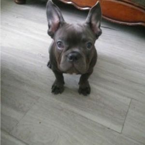 Meet your Posher, Trey